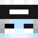 Image for Protect_cos Minecraft Player