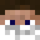 Image for Pterry Minecraft Player