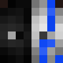 Image for Pting Minecraft Player