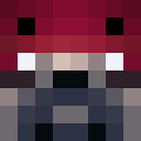 Image for PugNut Minecraft Player