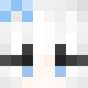 Image for Puggings Minecraft Player