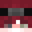 Image for Puggs Minecraft Player