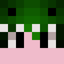 Image for Pulikka Minecraft Player