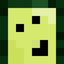 Image for Pumara Minecraft Player