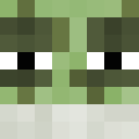 Image for Puntu Minecraft Player