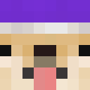 Image for Pupay Minecraft Player