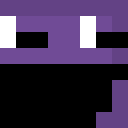 Image for Purple___guy Minecraft Player