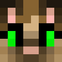 Image for Pusheengamer Minecraft Player