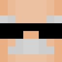 Image for Putta Minecraft Player