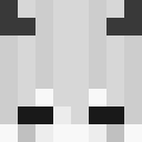 Image for Pyzaa Minecraft Player