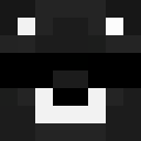 Image for QXTee Minecraft Player