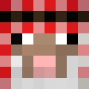 Image for Quatt Minecraft Player