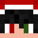 Image for RELYT005 Minecraft Player