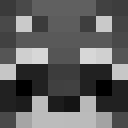 Image for Raccoon_N Minecraft Player