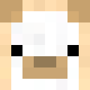 Image for Rae55 Minecraft Player