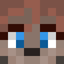 Image for RaiDev Minecraft Player