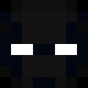 Image for Raiseel Minecraft Player