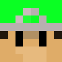 Image for Ramkoe Minecraft Player