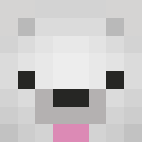 Image for Randomsock Minecraft Player