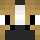 Image for RatMort Minecraft Player