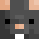 Image for Ratatuille Minecraft Player