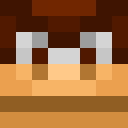 Image for RealDonkeyKong Minecraft Player