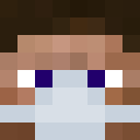 Image for Remmyrat Minecraft Player