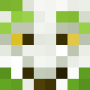 Image for Remvy Minecraft Player