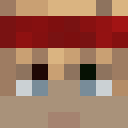 Image for Revelator Minecraft Player