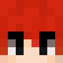 Image for Ridsa Minecraft Player