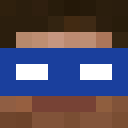 Image for Riger Minecraft Player