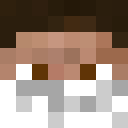 Image for Rihards Minecraft Player