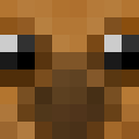 Image for Ripely Minecraft Player