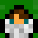 Image for RoShey Minecraft Player