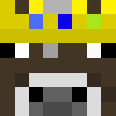 Image for RoboticCow Minecraft Player