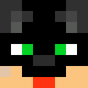 Image for SARA_IQ Minecraft Player