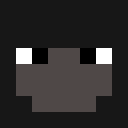 Image for SG_Wanna_BE Minecraft Player