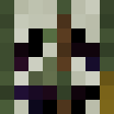 Image for SLlPKNOT Minecraft Player