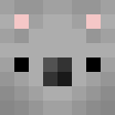 Image for SR_Koala Minecraft Player