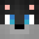 Image for SULKYGAMER Minecraft Player