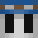 Image for SadMage Minecraft Player