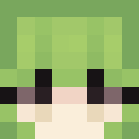 Image for Saichii Minecraft Player