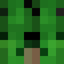 Image for Sakupen_ Minecraft Player