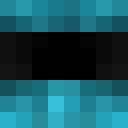 Image for Salting Minecraft Player