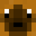 Image for SaltyVinegar Minecraft Player