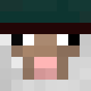 Image for SammyFreshLP Minecraft Player