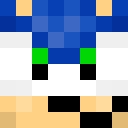 Image for Sanicexe Minecraft Player