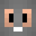 Image for Scatterbug Minecraft Player