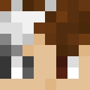 Image for Schnee_Katze Minecraft Player