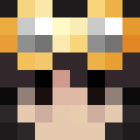 Image for Schwan Minecraft Player